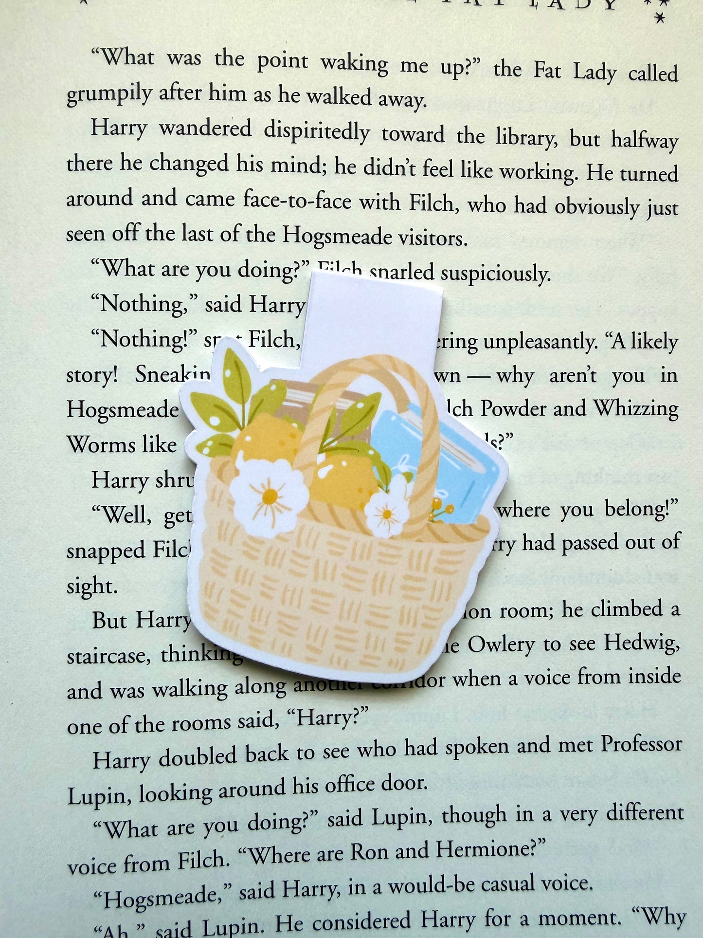 Basket of sunshine magnetic bookmark