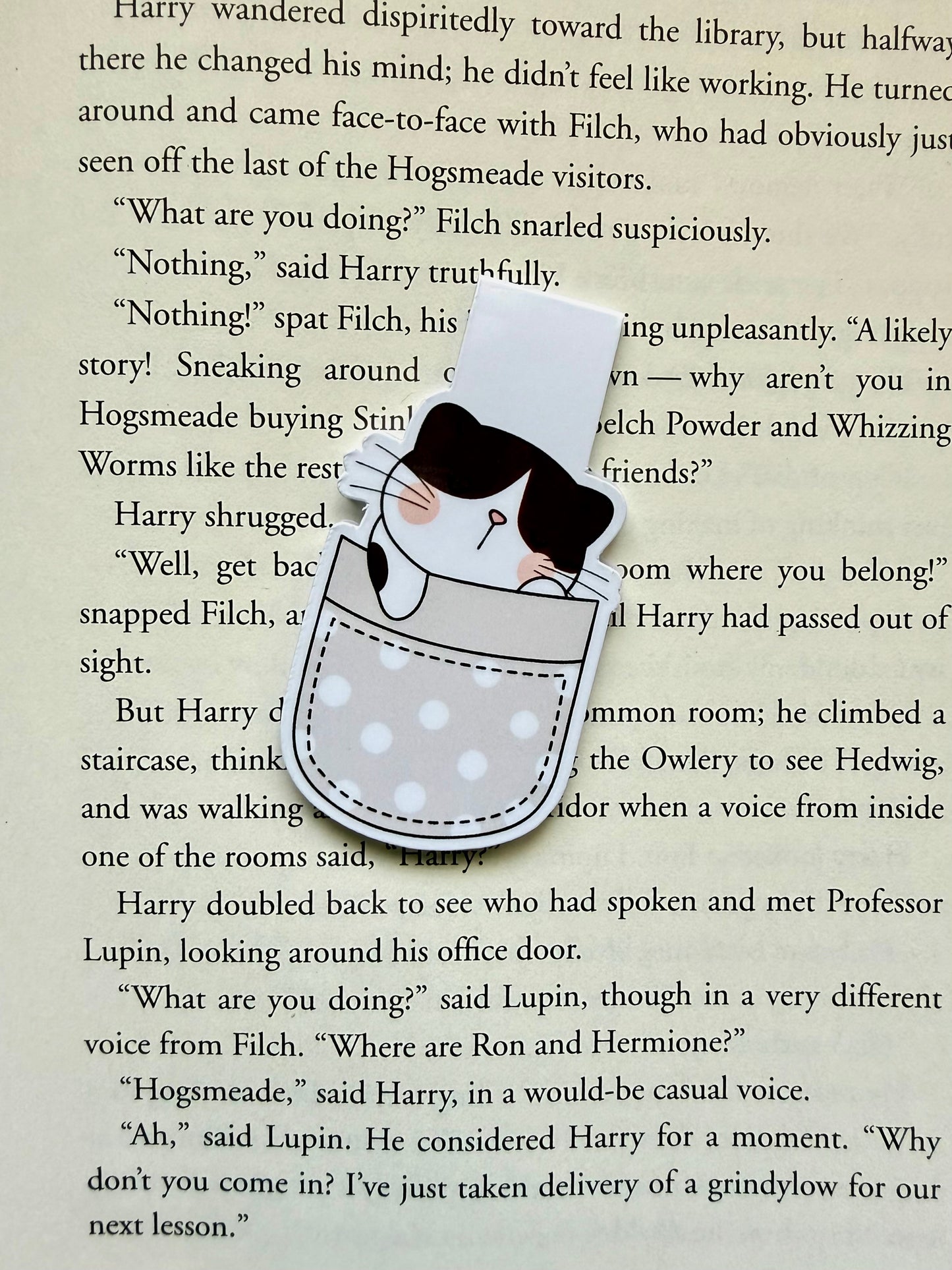 Pocket kitty magnetic bookmark