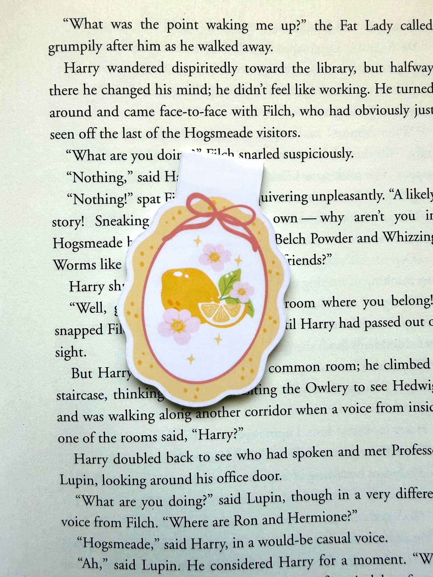 Sunny citrus magnetic bookmark